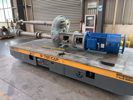 Apiqi-Zertifizierung API610 Hochtemperatur-Lava ohne Kavitation, Autoentladung, LKW-Entladung, Benzin, Diesel, Naphtha, langachsige Meerwasserpumpe Vs1 Vs4